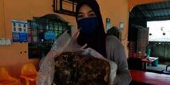 Wanita Ini Lihat Benda Ngambang di Laut Dikira Sampah, Ternyata Barang Mahal