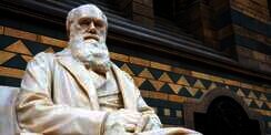 Surat Charles Darwin untuk Mantan Dosen Terjual Rp1,5 Miliar, Apa Isinya?