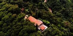 Potret Villa Megah Milik Camelia Malik, Dikelilingi Hutan Letaknya di Kaki Gunung Salak