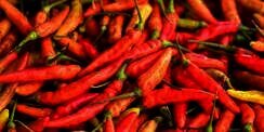 Bukan Biji, Ternyata Ini Bagian Paling Pedas di Cabai