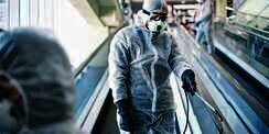 Ilmuwan Wuhan Temukan NeoCoV, Virus Corona Baru yang Lebih Mematikan