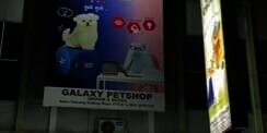 Viral Curhat Pemilik Petshop Kesal Sering Didatangi Ibu-ibu, Dikira Toko Sembako: Ada Promo Minyak Goreng?
