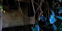 10 Potret Ngerinya Rumah Mewah Terbengkalai 10 Tahun, Ada Kamar Bekas &lsquo;Bunuh Diri&rsquo;!