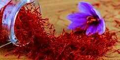 Rumitnya Menanam dan Memanen Saffron, Rempah Termahal di Dunia
