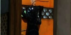 Bikin Syok, Buka Pintu Kamar Mandi Ada Biawak Besar