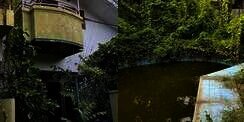 12 Potret Rumah Mewah Artis Ayu Lestari yang Terbengkalai 15 Tahun, Bak Bangunan Bekas Belanda, Angker Abis!