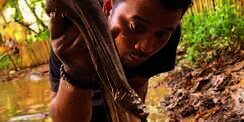 Potret Panji Petualang Kuras Empang Emak, Ternyata Ketemu Ular Predator Gendut Bermuka Jelek!
