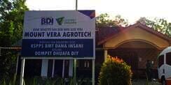 Cerita Bisnis Mount Vera Gunungkidul yang Kembangkan Lidah Buaya, Dulu Diragukan Kini Raup Omzet Rp30 Juta per Bulan