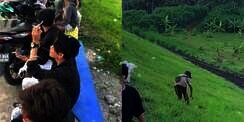 Kehidupan Kontras Dua Remaja di Pinggir Jalan Bikin Terenyuh: Satu Nongkrong, Lainnya Harus Mengais Sampah