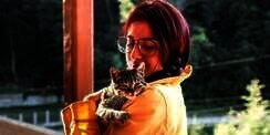 Doa Mencari Kucing yang Hilang dan Hukum Memeliharanya Menurut Islam