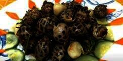 Santap Siput Tutul, Pasangan Ini Malah Temukan Mutiara Langka