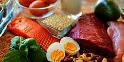 Trik dan Cara Mudah Memenuhi Asupan Protein Harian