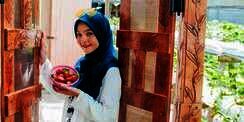 Gunakan 2 Bahan Dapur untuk Bersihkan Buah Beri