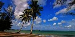 5 Destinasi Wisata 'Family Friendly' di Desaru, Malaysia