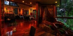 Desain Megah Rumah Pohon, Seperti Hotel Bintang Lima