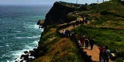5 Panduan Perjalanan Halal di Pulau Jeju