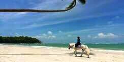 Pengalaman Tak Terlupakan Traveling ke Desa Wisata Pengudang di Pulau Bintan