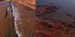 Usai Gunung Tandus Menghijau, Kini Muncul Sungai dan Danau Dadakan di Arab Saudi, Pertanda Apa?