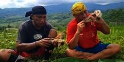 Si Gundul Mukbang Ular King Cobra 4 Meter, Panji Petualang Auto Nangis Lihat Aksi Gurunya Ini