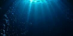 Habiskan 100 Hari Hidup di Bawah Laut, yang Terjadi Setelah Itu...