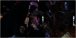 Meninggal di Bulan Ramadhan, Apakah Langsung Masuk Surga?