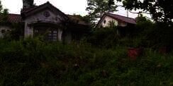 Potret Penampakan Ratusan Villa Terbengkalai di Subang yang Sudah Diambil Alih oleh Alam