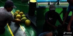 Perjuangan Bapak Hidupi Keluarga, Semangat Cari Rezeki Naik ke Atas Kapal Jualan Buah Meski Punya Keterbatasan Fisik