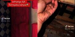 Mebel Jepara Menangis Melihat Ini! Iseng Bongkar Sofa Harga Rp6 Juta, Penampakan di Dalamnya Bikin Syok
