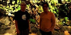 Potret Kantor Baim Wong yang Punya Air Terjun dalam Ruangan