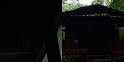Istirahat di Gubuk Habis Panen Durian Malam-Malam, Pemuda Ini Demam Usai Ditegur 'Penunggu' Kebun Berwujud Wanita Cantik Berbaju Putih
