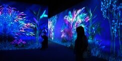 Healing Sejenak di Arte M Hong Kong, Museum Digital Serasa Tinggal di Alam Natural 
