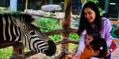 Potret Lady Nayoan saat Momong Anak, Beda Jauh Sama Syahnaz! 
