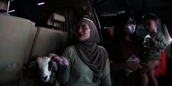 Potret Nathalie Holscher Bawa Kambing Adzam Naik Alphard 