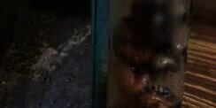 Cerita Misteri Uang dalam Lemari Tiba-tiba Hilang, Kacang Hijau yang Ditebar Kembali Tertata Rapi, Penghuni Menduga Gangguan Tuyul