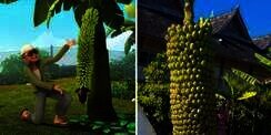 Selama Ini Dikira Cuma Khayalan Upin dan Ipin, Pohon Pisang Seribu Ternyata Ada di Dunia Nyata