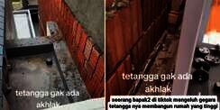 Viral Bapack-Bapack TikTok Kesal Pemandangan Jendela Berubah Jadi Tembok Tinggi Jarak Cuma 5 Cm, Netizen +62 Ngoceh Tunjuk yang Salah