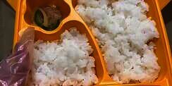 Tiktoker Jualan Nasi Bento Rp75 Ribu Isinya Hanya Timun dan Daging Slice Satu Potong