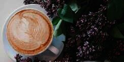 Kafe Ini Merilis Kopi Rasa Jamur, Keunikannya Bikin Penasaran