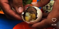Penjelasan Ulama Soal Hukum Makan Balut, Telur Unggas yang Sudah Jadi Embrio