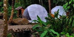 5 Tempat Glamping Terjangkau di Yogyakarta, Mari Healing dan Manjakan Mata