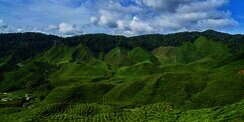 8 Destinasi Wisata Alam Terbaik di Asia Versi Agoda, Ada Megamendung