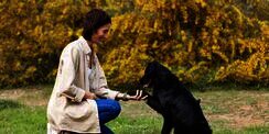 Pria Ini Dirikan Pusat Terapi dengan Anjing, Bantu Pasien Autisme hingga Alzheimer
