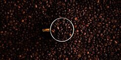 Budaya Ngopi di Indonesia Serta Sejarah Masuk Minuman Hitam Nan Nikmat Ini
