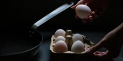 Waktu Terbaik Makan Telur untuk Protein dan Pertumbuhan Otot