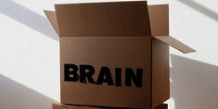 Dopamine Anchoring: Cara Menurut Ahli agar Otak Mau Mengerjakan Tugas Membosankan