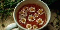Teh Hijau vs Teh Chamomile, Mana yang Lebih Baik untuk Menjaga Tekanan Darah?