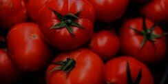 5 Efek Samping Makan Tomat Setiap Hari yang Perlu Diperhatikan