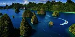 Menjaga Raja Ampat, Menjaga Jantung Laut Dunia