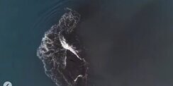 Badan Geologi Ungkap Hasil Analisis Pulau Baru di Dekat Gunung Anak Krakatau: Jangan Dekati