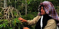 Dua Petani Indonesia Masuk Daftar 100 Pahlawan Perempuan FAO